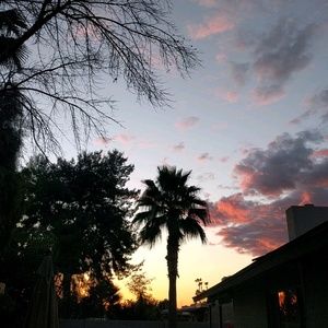 Meet your Posher, Merrill